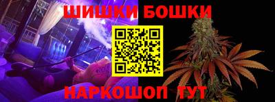 сатива Можга