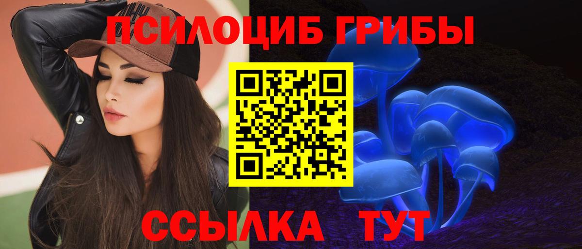 Ступино  Галлюциногенные грибы GOLDEN TEACHER  Вход с VPN 