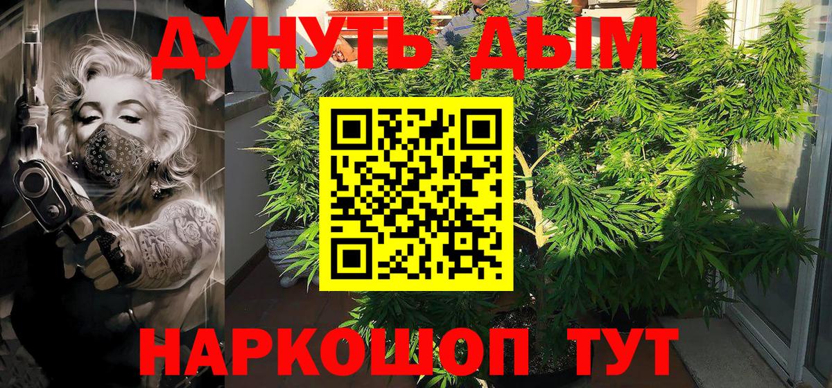 Марихуана гибрид  МАРИХУАНА планчик  Ступино  МАРИХУАНА MAZAR  Вход с VPN 